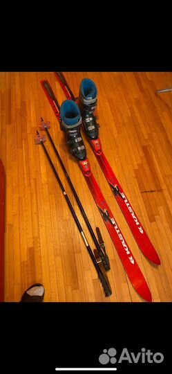 Горные лыжи