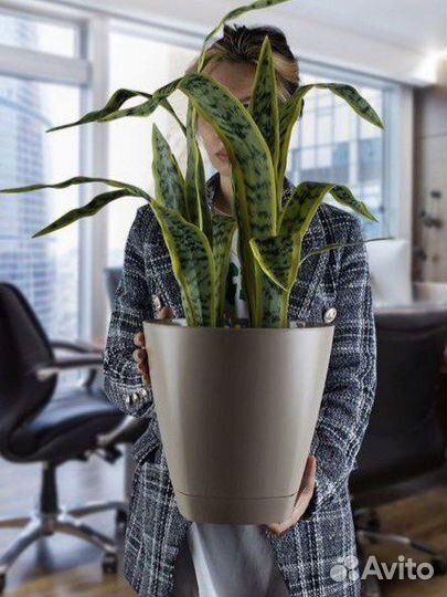 Цветочный горшок