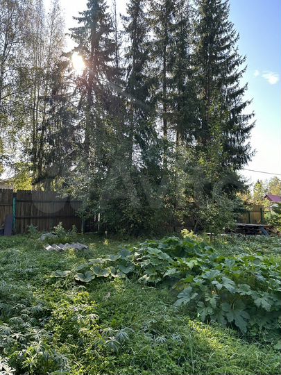 Участок 21 сот. (СНТ, ДНП)