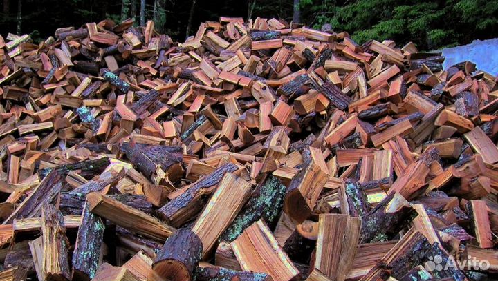 Дрова по бн расчету