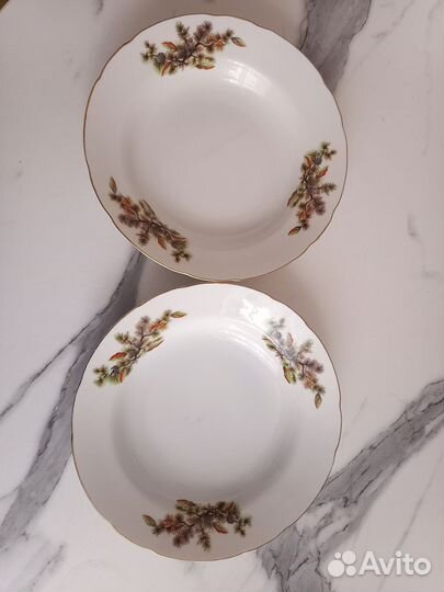 Тарелка шишки япония