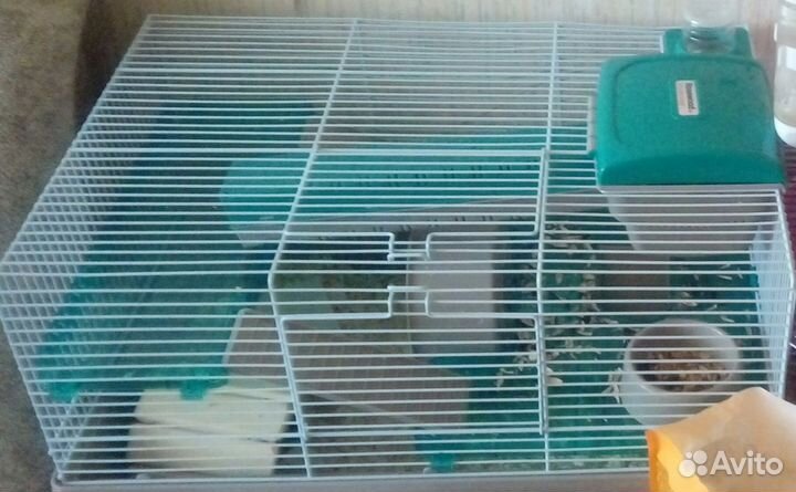 Клетка для грызунов rosewood бирюзовая, 50х36х29см