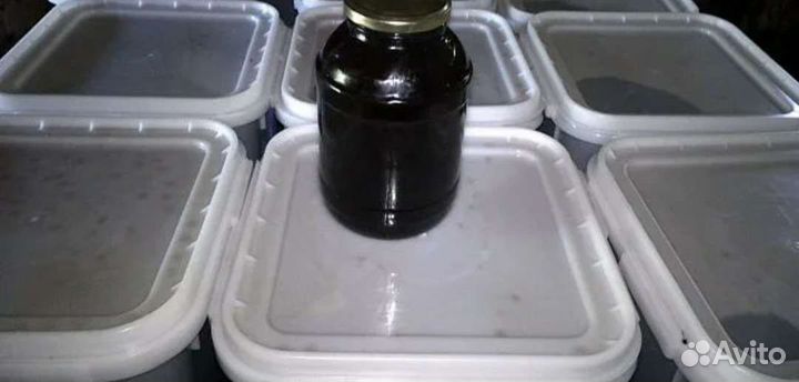 Мёд/мед/дягель