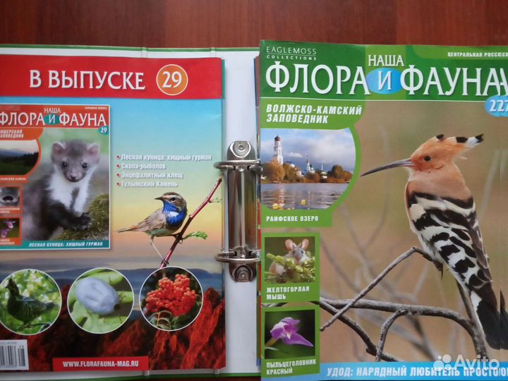 Журналы: Наша флора и фауна. Номера уточняйте