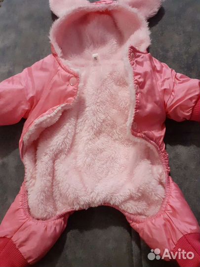 Одежда для щенка