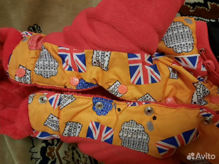 Зимний комбинезон и намордник для маленьких собак