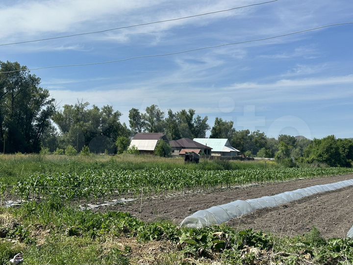 Участок 10 сот. (ИЖС)