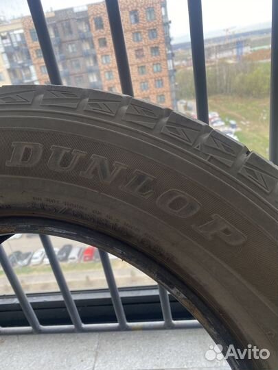 Dunlop Winter Maxx WM01 215/65 R16 98T