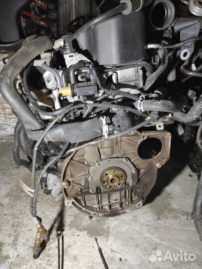 Двигатель Ford Focus 3 CB8 1 L ecoboost 2012