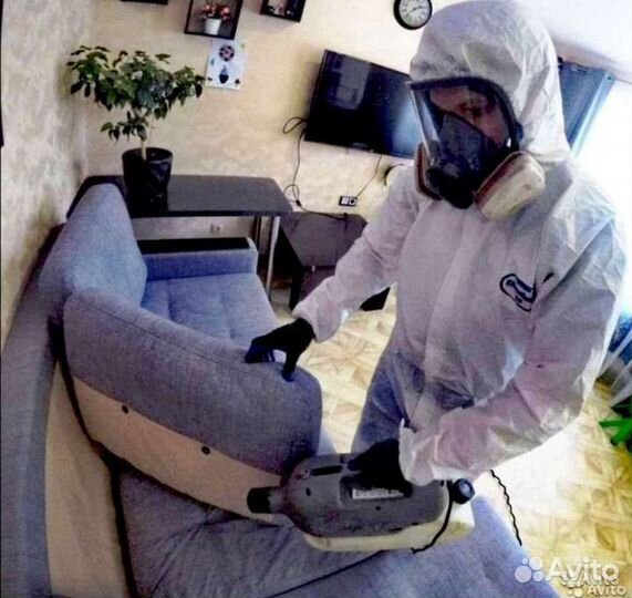 Уничтожение клопов тараканов блох мышей плесени