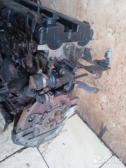 Б/У Б/У двс, мотор, 2.0 zetec, Форд Фокус 1 usannу