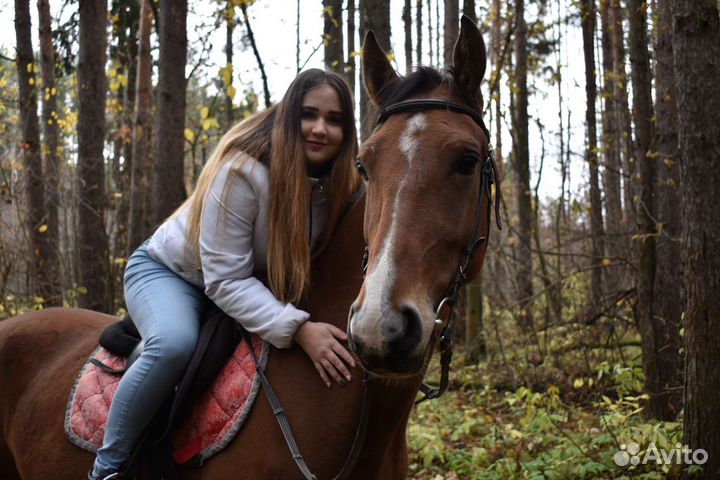 Конные прогулки