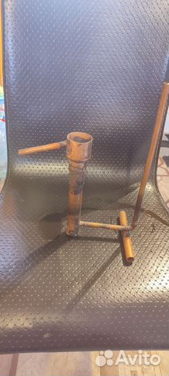 Медный попугай