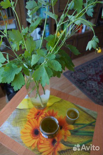 Масло - мазь Чистотела от псориаза