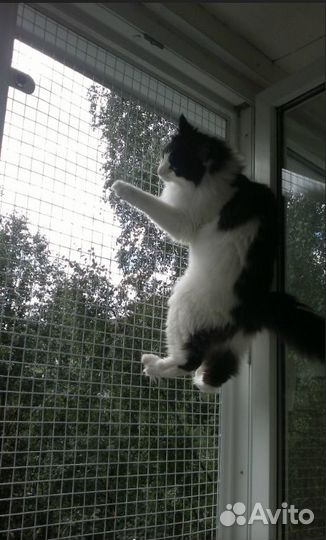 Оконная решетка съемная антикошка