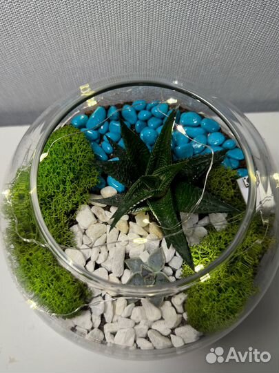 Флорариум с мхом