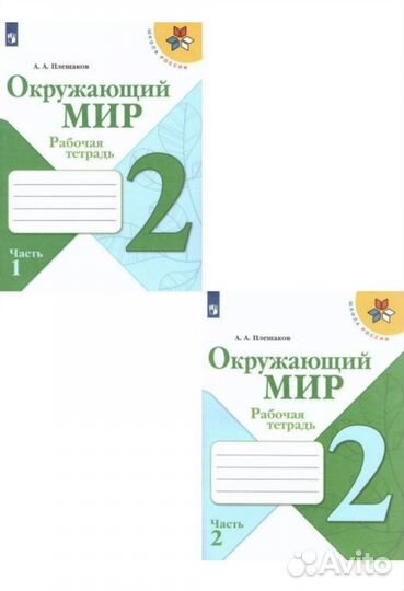 Рабочая тетрадь 2 класс по окр. мир