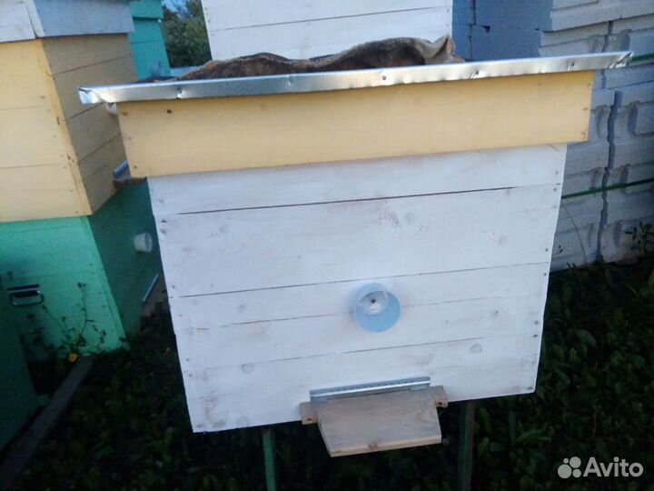 Улей для пчел