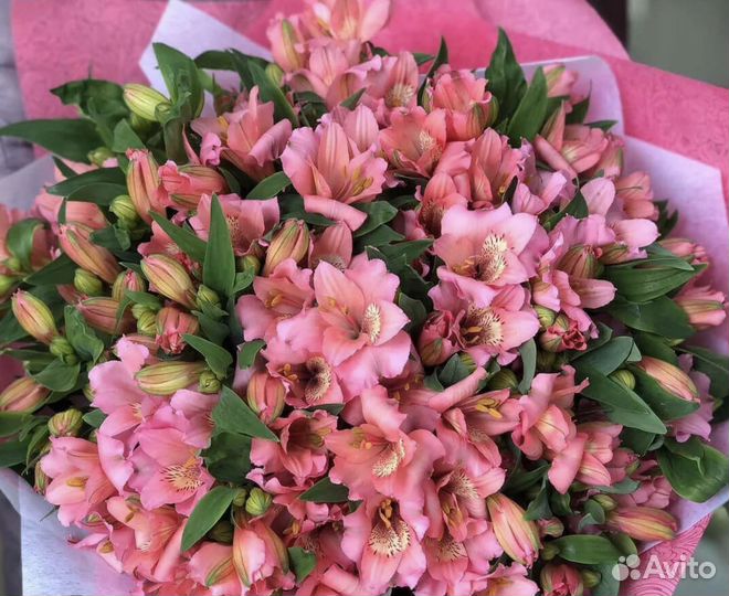 Альстромерия букет