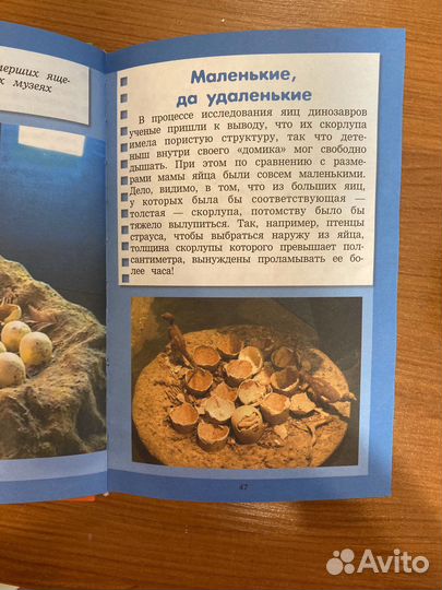 Все самое интересное о динозаврах