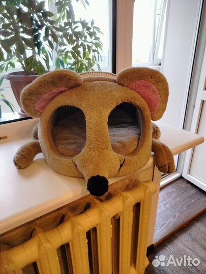 Кошкин домик