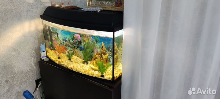 Аквариум