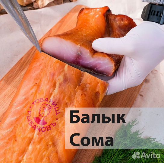 Рыба вобла и икра