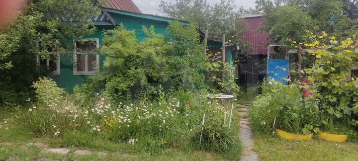 Дача 31 м² на участке 6 сот.