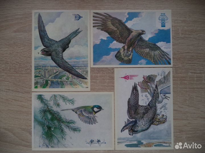 Кто как летает. Открытки СССР 1978 год
