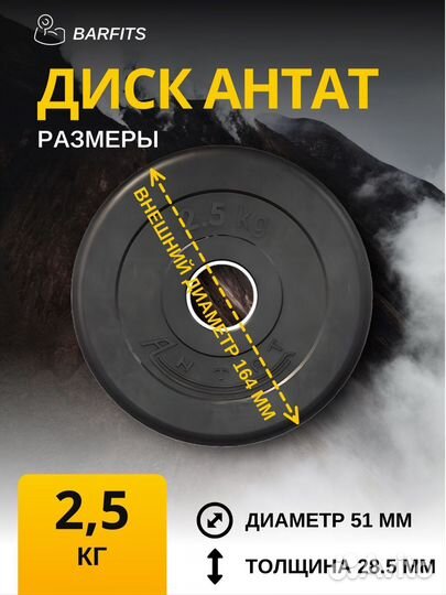 Комплект Дисков Антат 51мм 2.5кг. / 2 шт