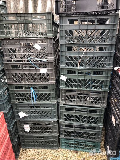 Пластиковые ящики для хранения бу