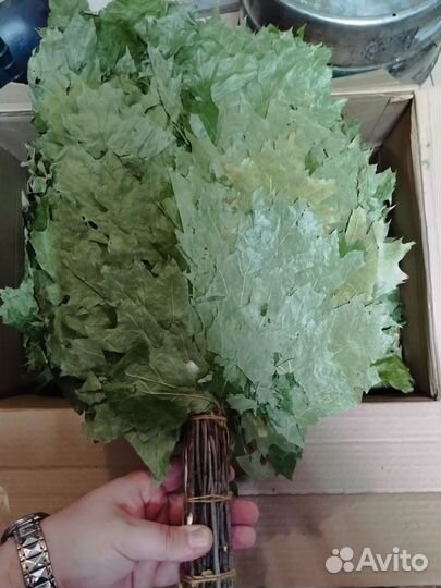 Веники дубовые краснодар