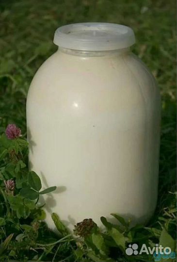 Молоко коровье домашнее