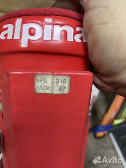 Горнолыжные ботинки