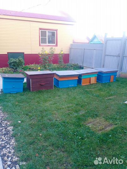 Ульи для пчел. 6 шт