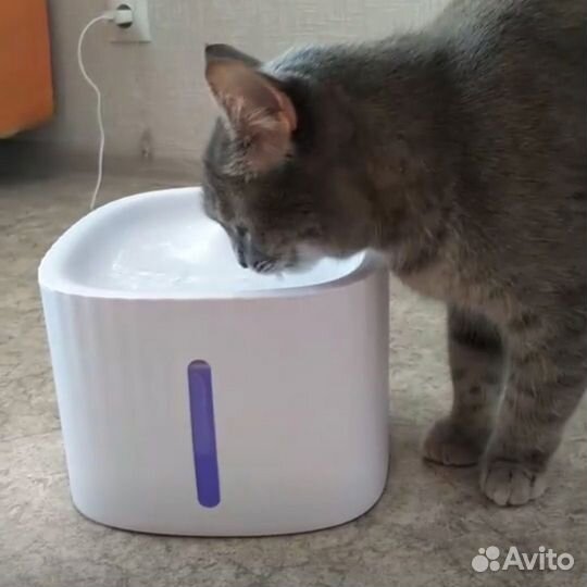 Фонтан поилка для животных 3 л