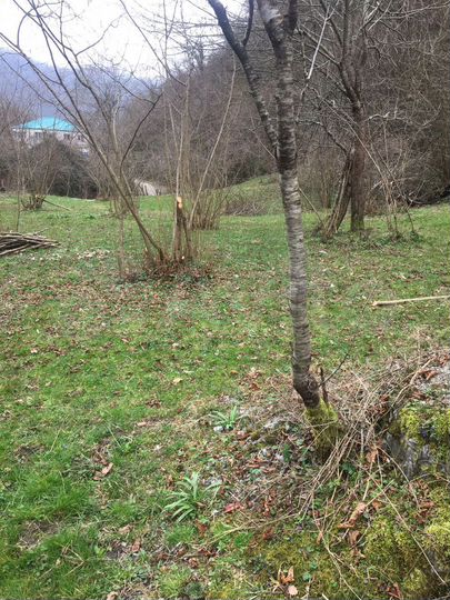 Участок 12 сот. (ИЖС)