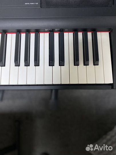 Цифровое пианино yamaha p125 + стойка