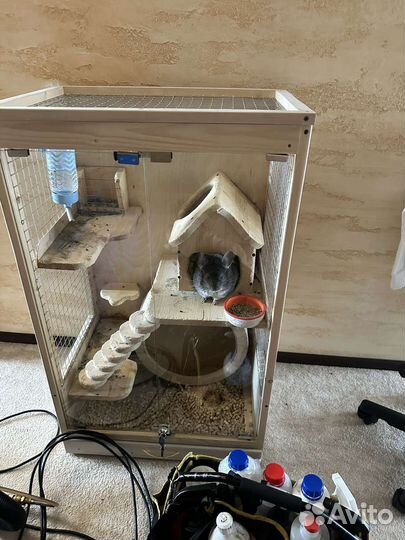 Шиншилла + клетка