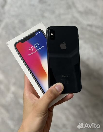 iPhone X, 256 ГБ