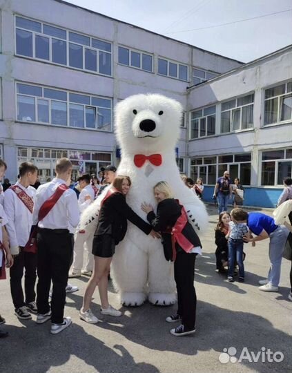 Поздравление от Белого Медведя