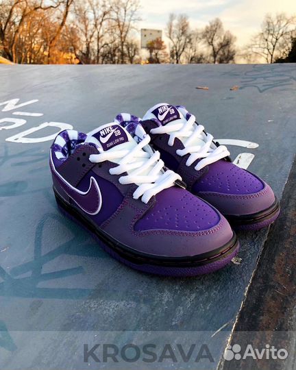 Nike Sb Dunk Purple Lobster