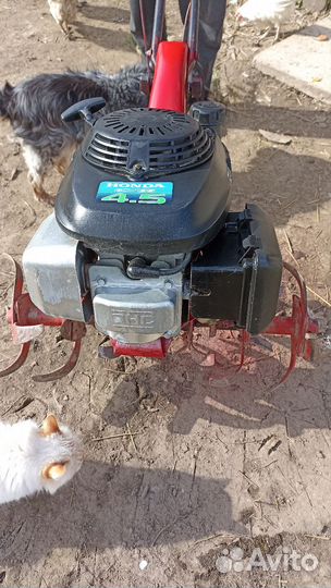 Мотоблоки и культиваторы