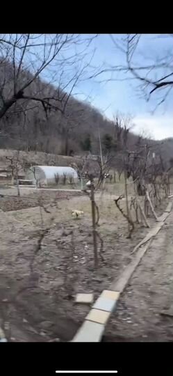 Дом 96 м² на участке 17 сот.