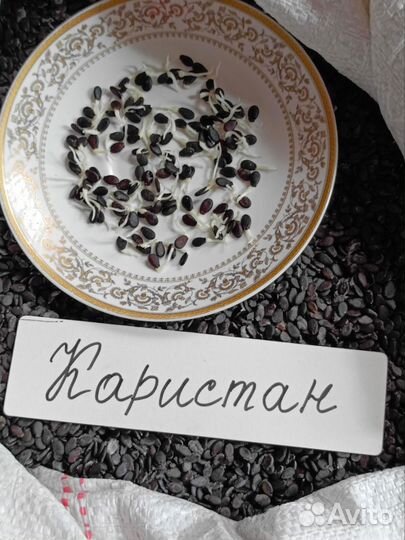 Семена арбуза Каристан, Продюсер