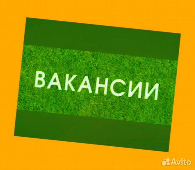 Мойщик Работа вахтой Прожив. Питание Аванс Хор.Усл