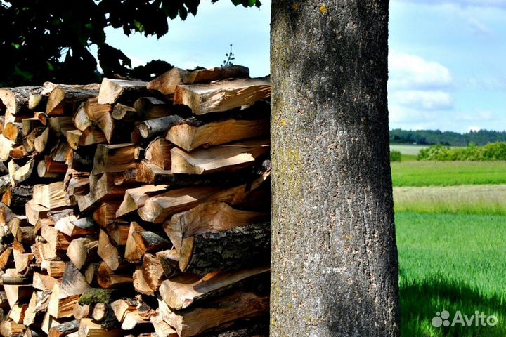 Дрова на дачу в баню