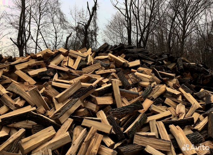 Дрова в область