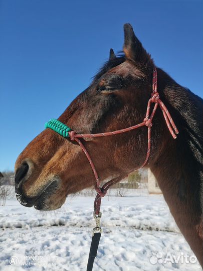 Конные вещи