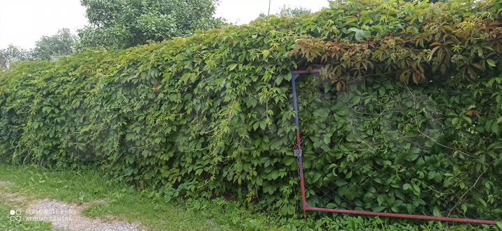 Дача 60 м² на участке 6 сот.